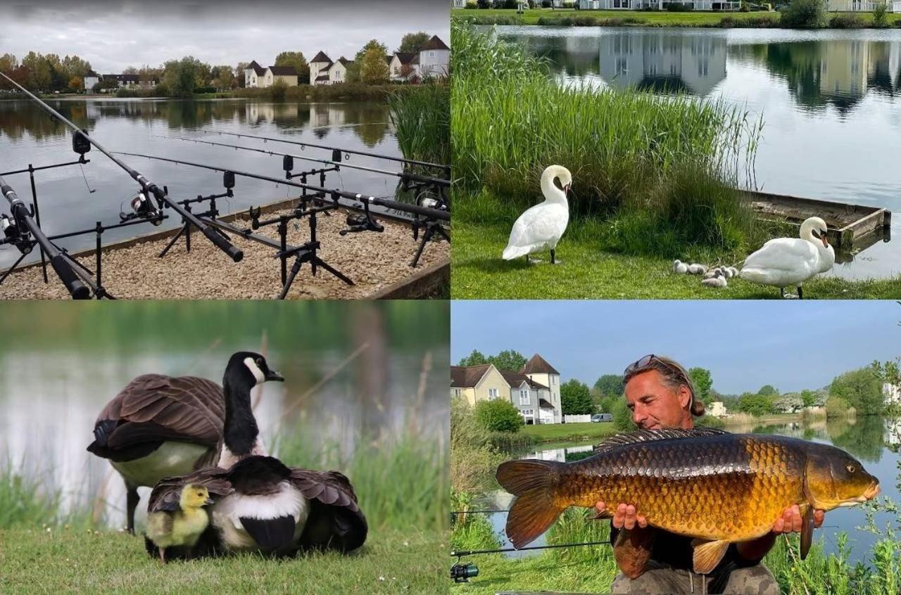 Windrush Lake 65, Sunset Lodge - P South Cerney Eksteriør bilde